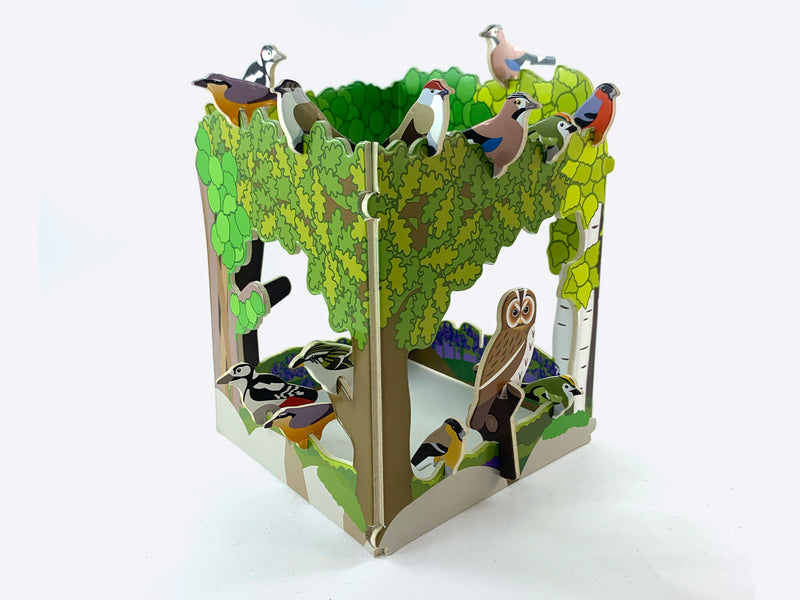 RSPB Woodland Birds Playset